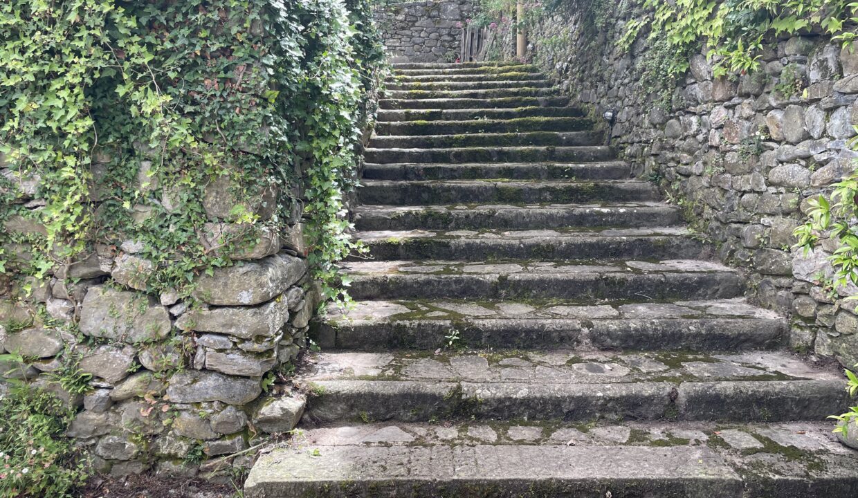 19- stone steps from parking area to front entrance